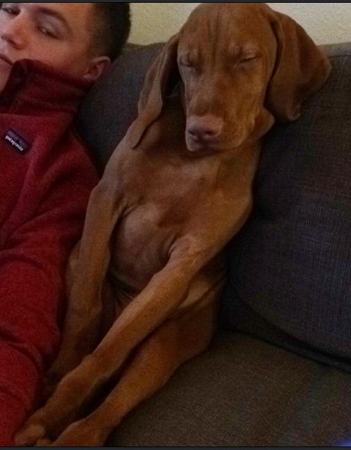 12301644_10154301692853238_7717567785022671611_n