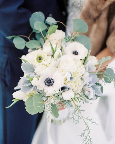 16266213_10154320665468977_2394787252575169007_n