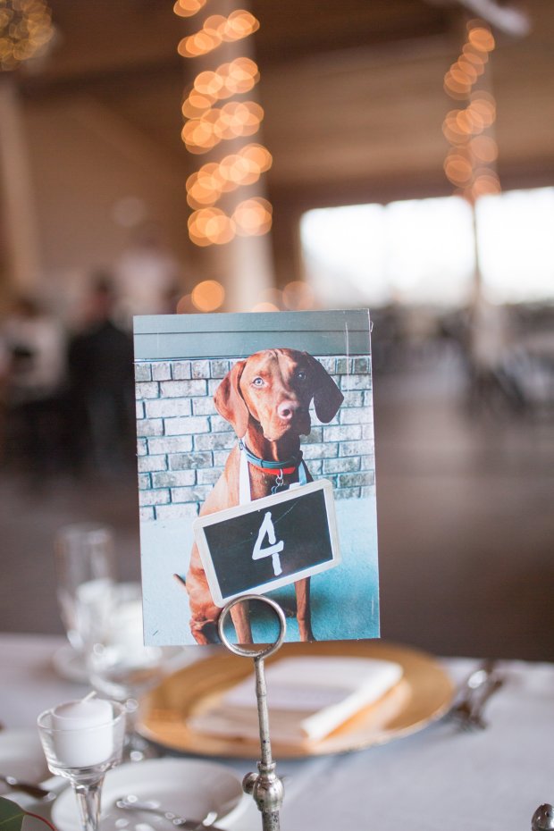 rodeoandcophoto_matteaconor2_-125