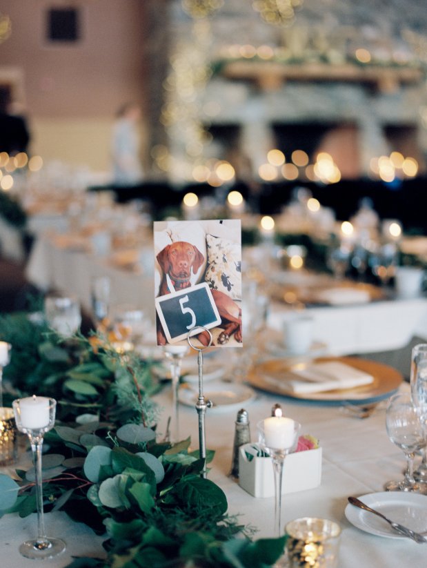 rodeoandcophoto_matteaconor_h2_-25