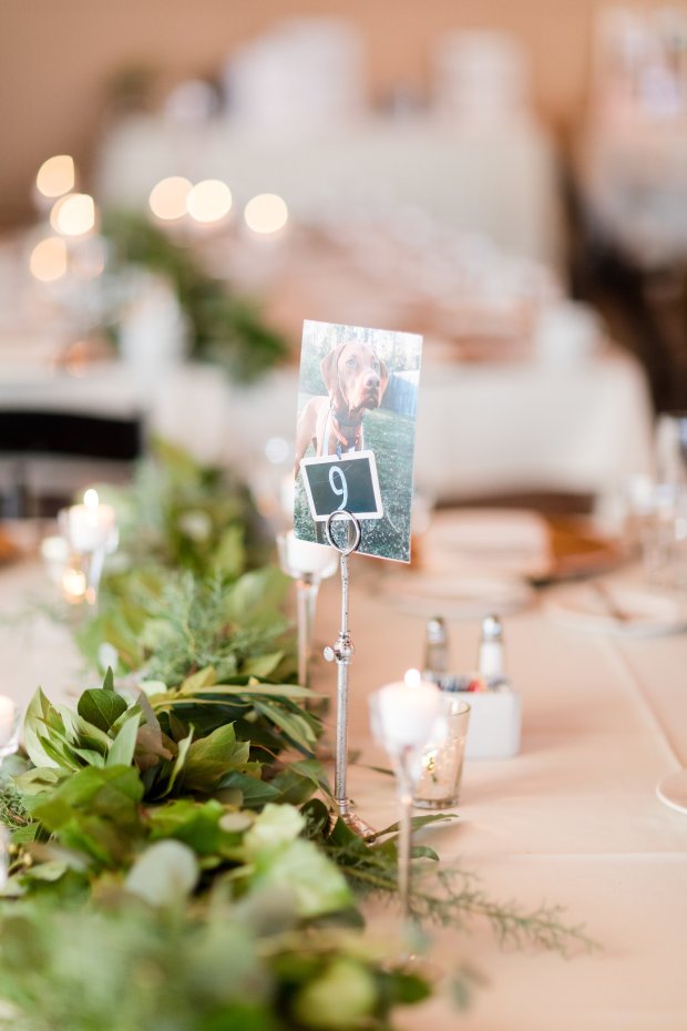 RodeoCoPhoto_MatteaConor_(320of531)