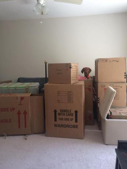 13055580_10154691064528238_6567563674049536180_n